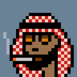 The Emiratis #978