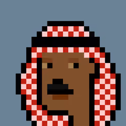 The Emiratis #537