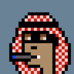 The Emiratis #538