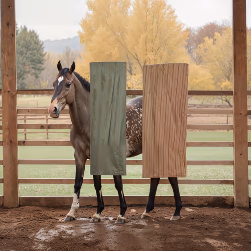 Veiled