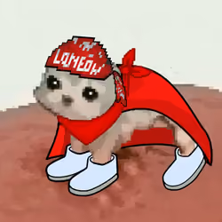 Low Quality Cat #3650