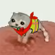 520