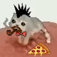 2548