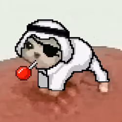 Low Quality Cat #988