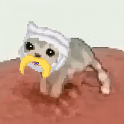Low Quality Cat #1766