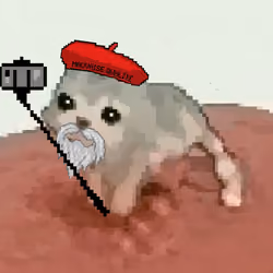 Low Quality Cat #1838