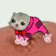 1460