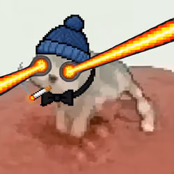 Low Quality Cat #3428