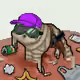 Low Quality Cat #694