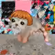 3043