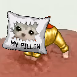 Low Quality Cat #2117