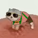1549