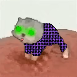Low Quality Cat #2375