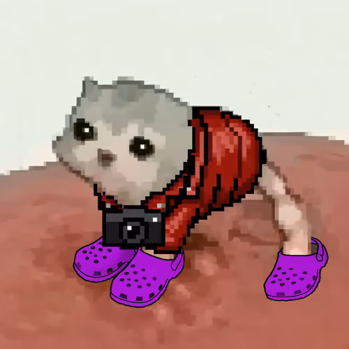 Low Quality Cat #2348