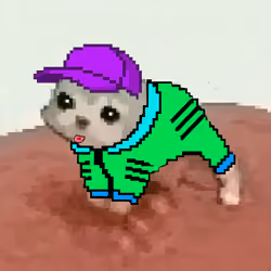 Low Quality Cat #3957