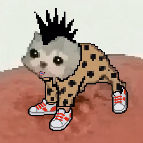 Low Quality Cat #2376