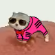 3338