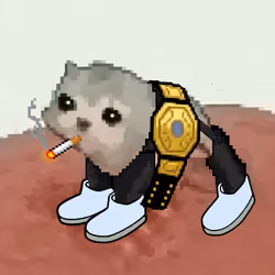 Low Quality Cat #2673