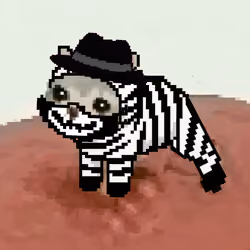 Low Quality Cat #2645