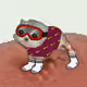 Low Quality Cat #2191