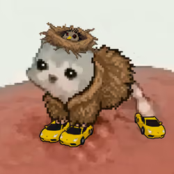 Low Quality Cat #3124