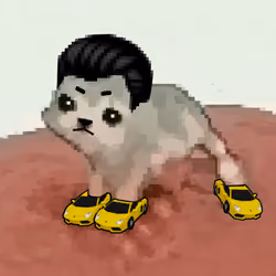 Low Quality Cat #2324