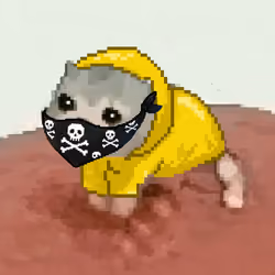 Low Quality Cat #1719