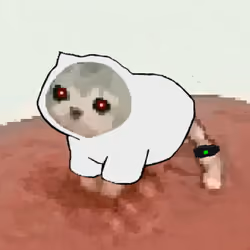 Low Quality Cat #3460