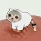 3460