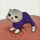 4209