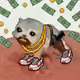 2691