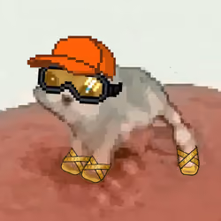 Low Quality Cat #3439