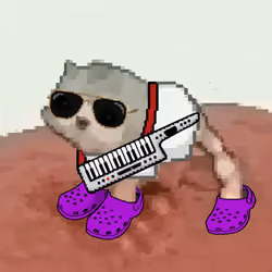 Low Quality Cat #2439