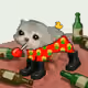 Low Quality Cat #651