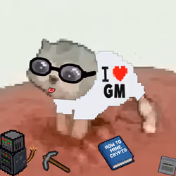 Low Quality Cat #1790