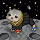 4019