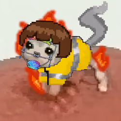 Low Quality Cat #3379
