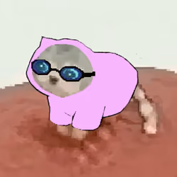 Low Quality Cat #3601