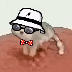 Low Quality Cat #3466