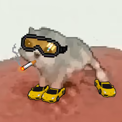 Low Quality Cat #2537