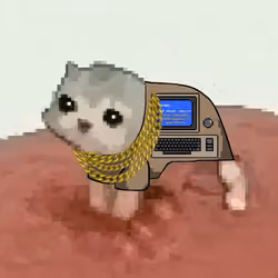 Low Quality Cat #1711