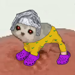 Low Quality Cat #953