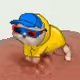 2427
