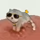 3547
