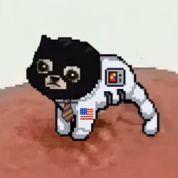 Low Quality Cat #3672