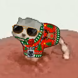 Low Quality Cat #2822