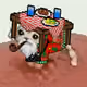 Low Quality Cat #3912