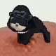 Low Quality Cat #3730