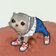 1168