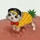 Low Quality Cat #2268
